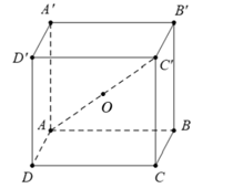 1750042989873.png