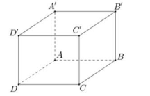 1750043592272.png