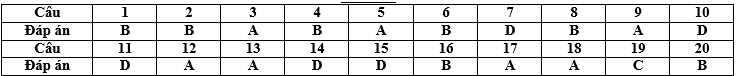 cảm ứng điện từ từ thông  1238).png