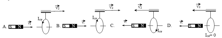 cảm ứng điện từ từ thông  (9).png