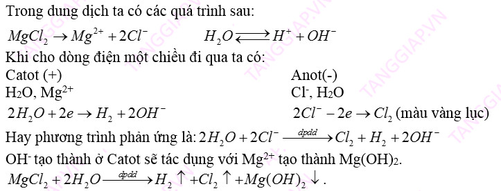 chuyen de dien phan 10.jpg