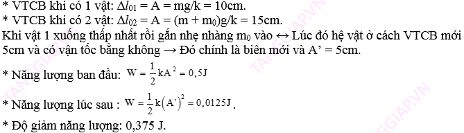 dao dong co.png