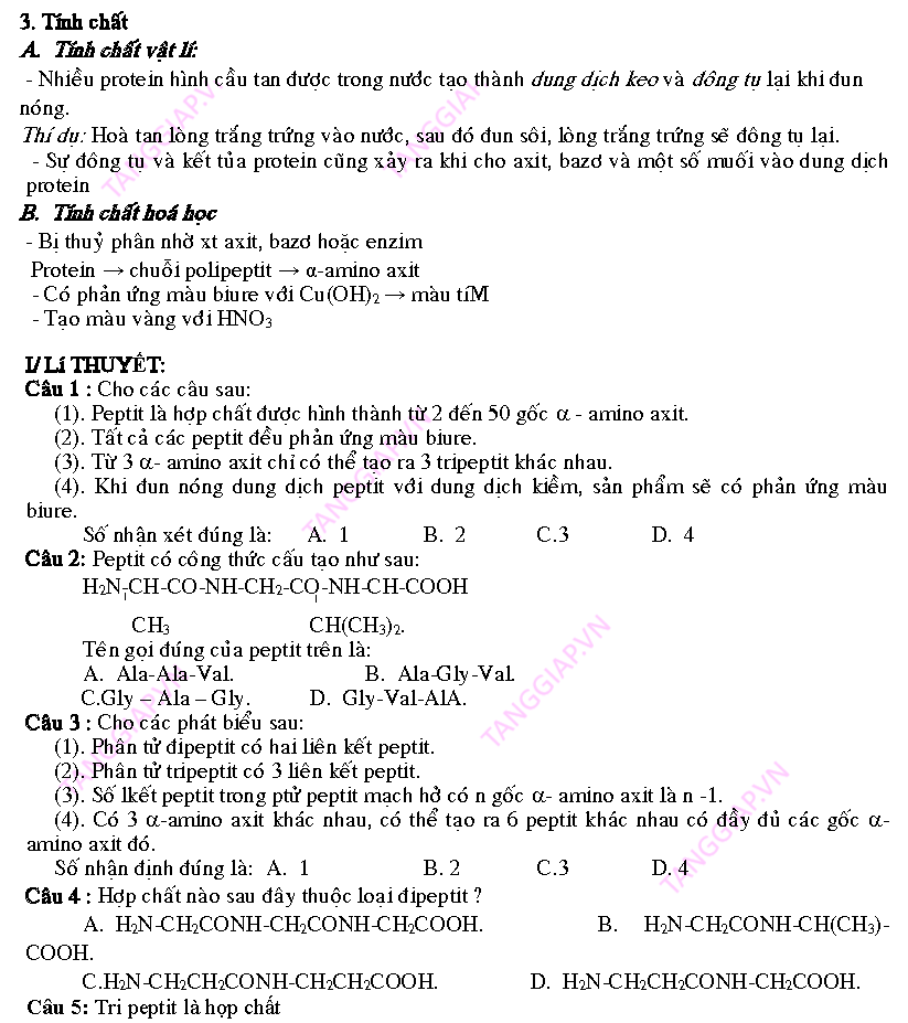 day them phan peptit_Page_03.png