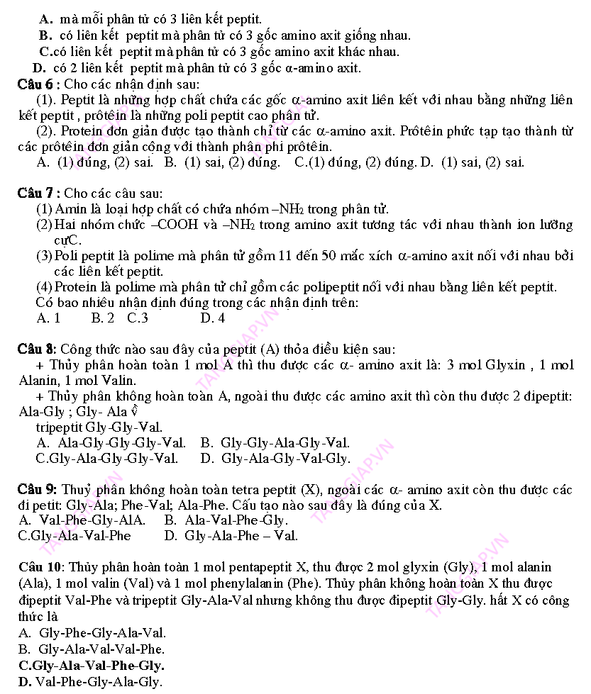day them phan peptit_Page_04.png