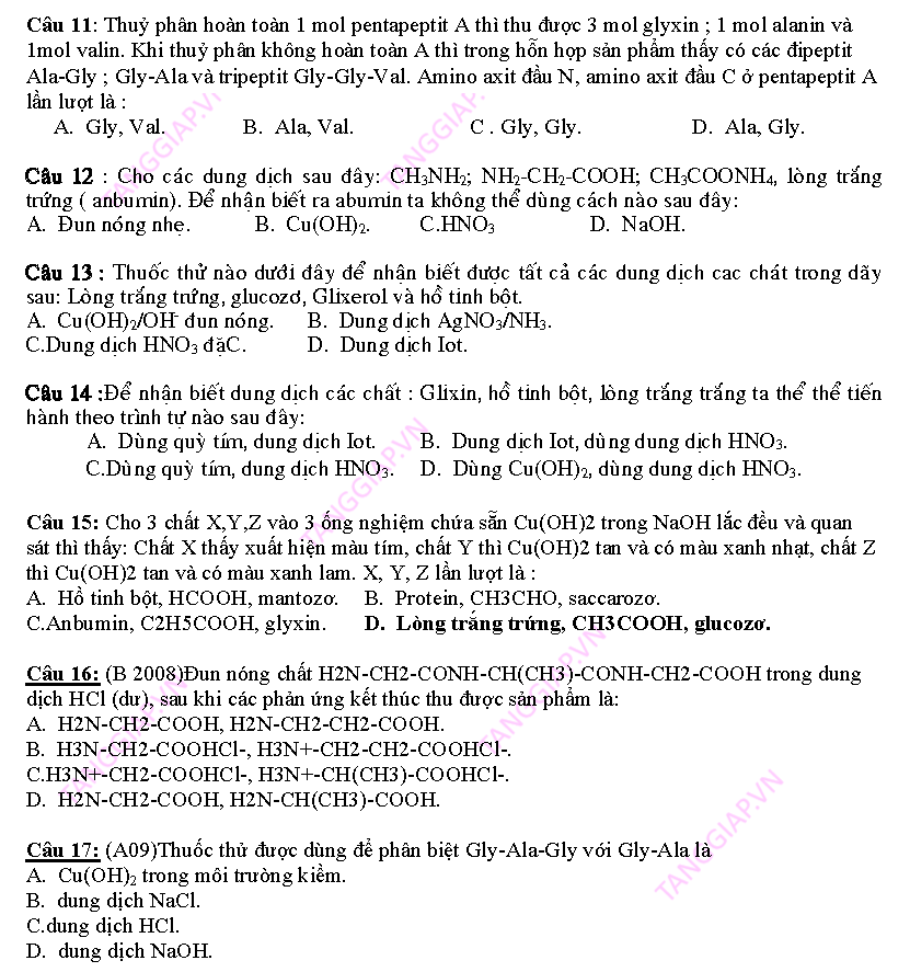 day them phan peptit_Page_05.png