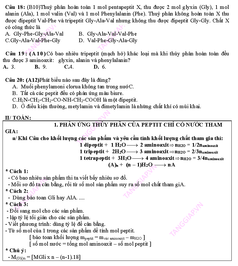 day them phan peptit_Page_06.png