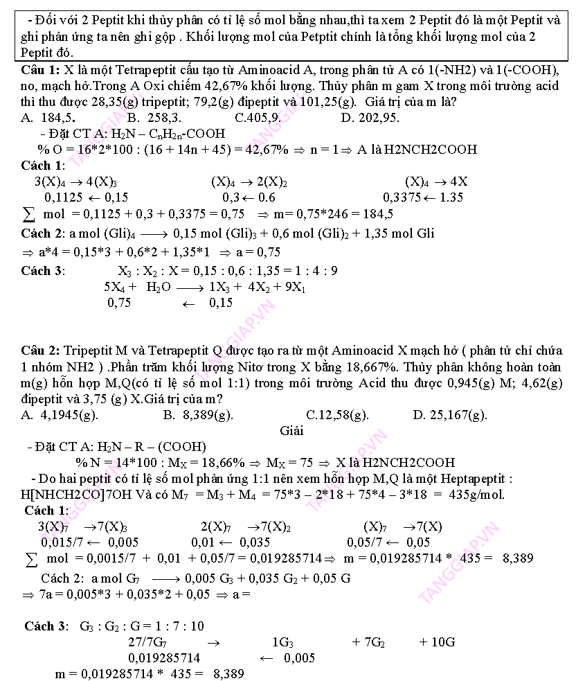 day them phan peptit_Page_07.png