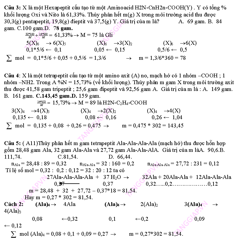 day them phan peptit_Page_08.png