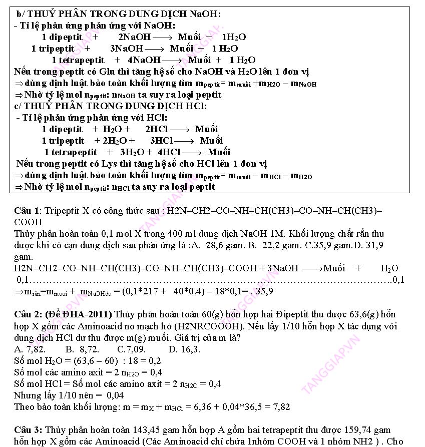 day them phan peptit_Page_09.png