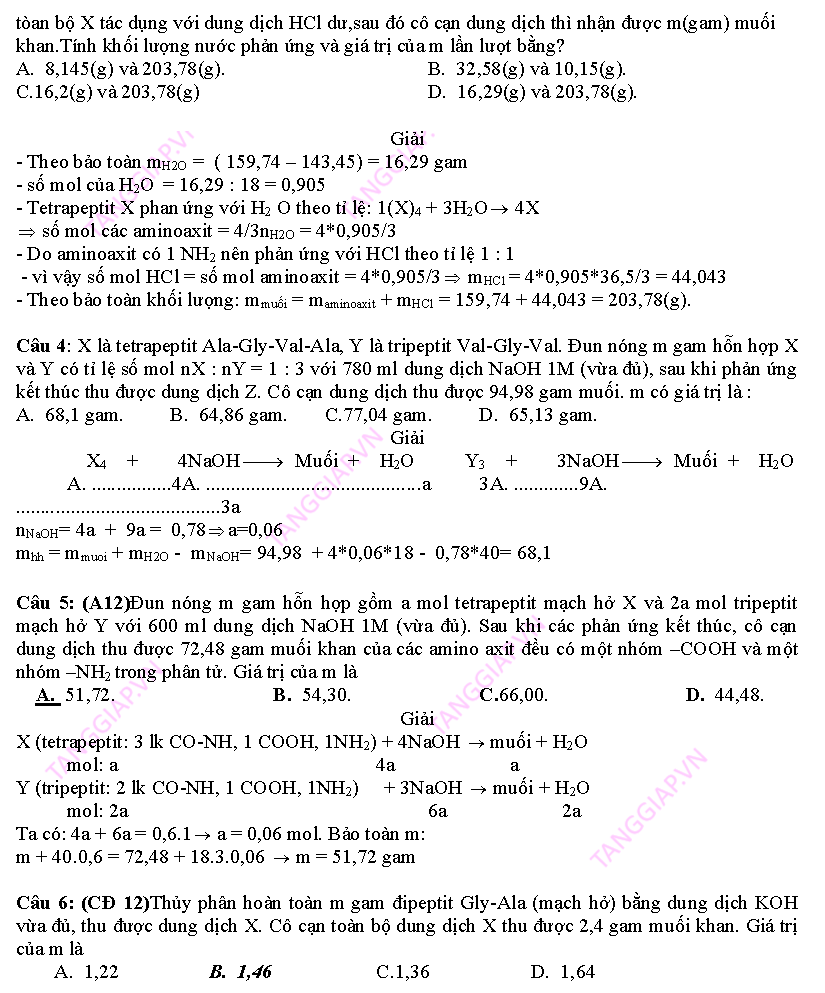 day them phan peptit_Page_10.png