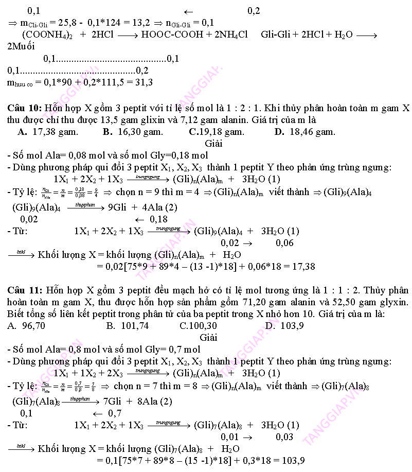 day them phan peptit_Page_12.png