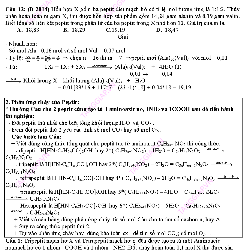 day them phan peptit_Page_13.png