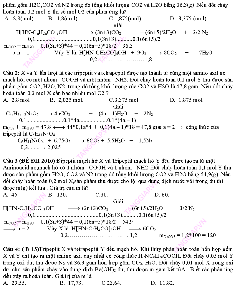 day them phan peptit_Page_14.png