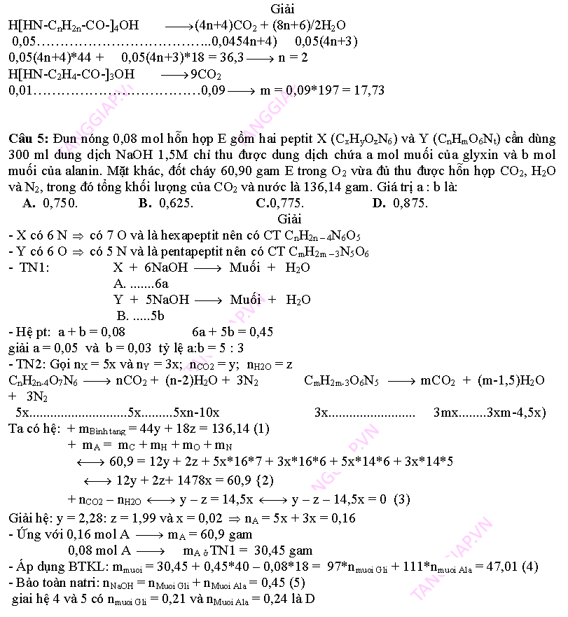 day them phan peptit_Page_15.png