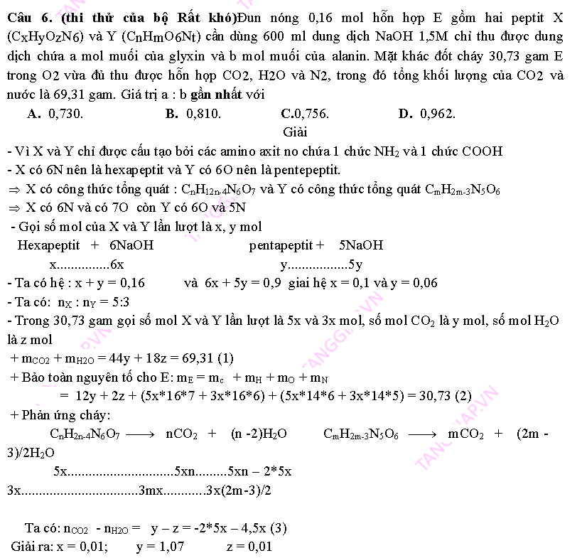 day them phan peptit_Page_16.png