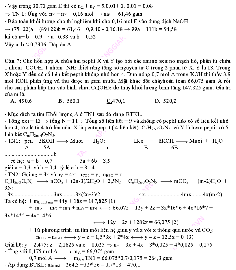 day them phan peptit_Page_17.png