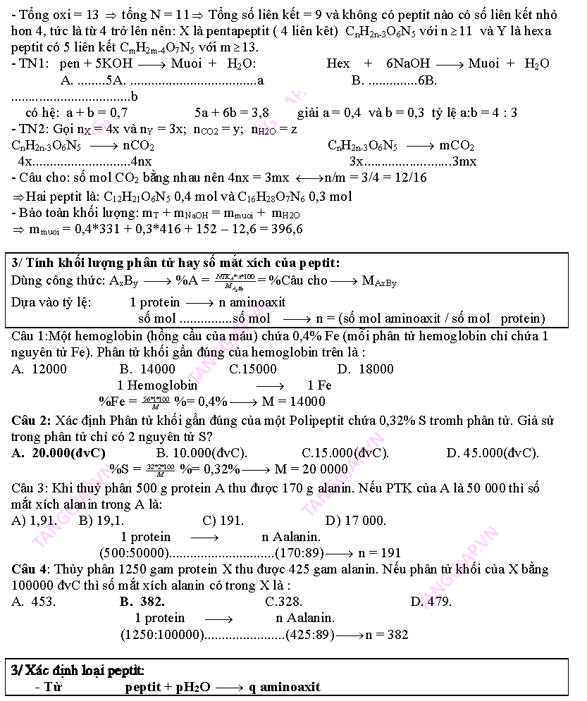 day them phan peptit_Page_19.png