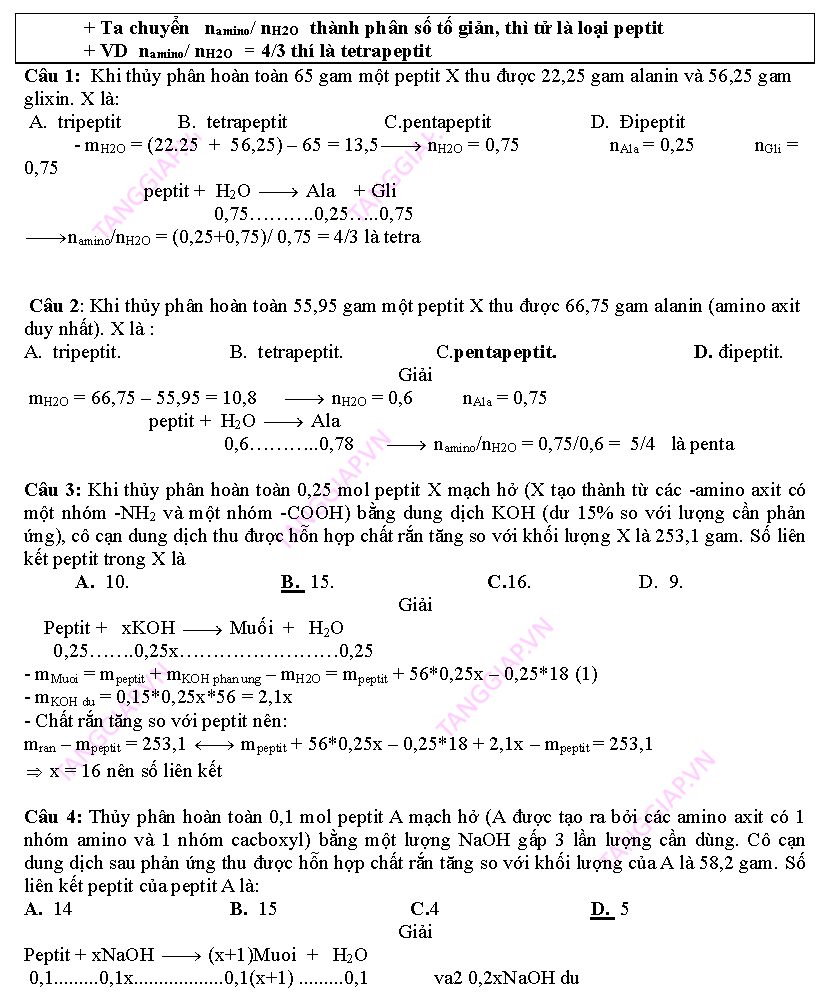 day them phan peptit_Page_20.png