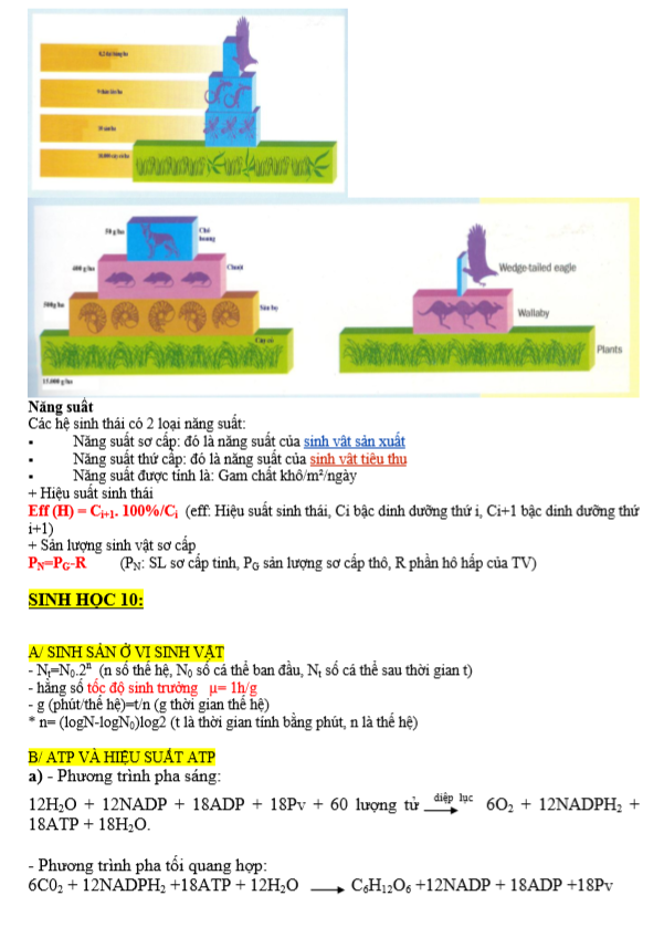 Di truyền học và chọn giống (6).PNG