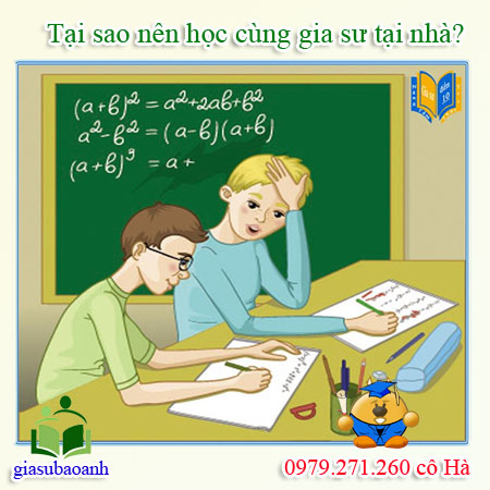 hoc_cung_voi_gia_su_tai_nha.jpg