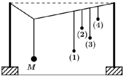 Không kể M, con lắc dao động mạnh.JPG