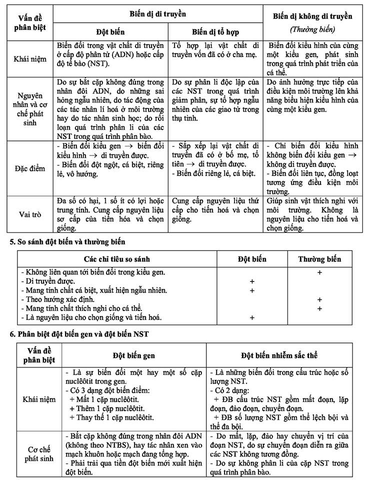 ôn tập lý thuyết sinh học (2).jpg