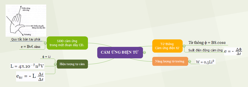 sơ đồ tư duy chương cảm ứng từ.png