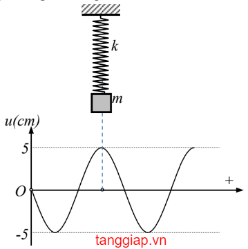 Vật không chạm vào sợi dây trong quá trình dao động.png