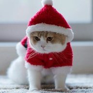 lê oanh