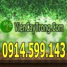 sieunhanxphong
